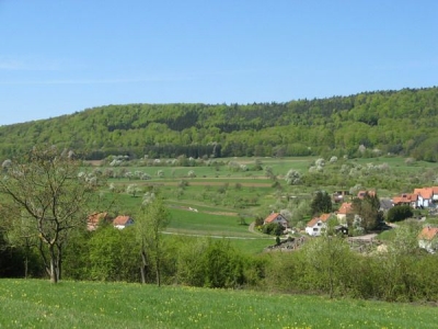 Gîte rural 'Gîte nature le rucher en alsace' en Alsace