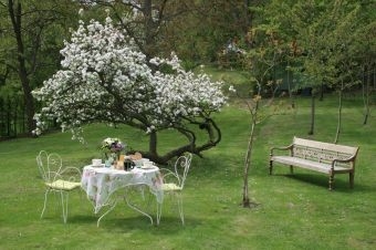 Chambre d'hôte 'La maison des cool heures' à Vienne en arthies