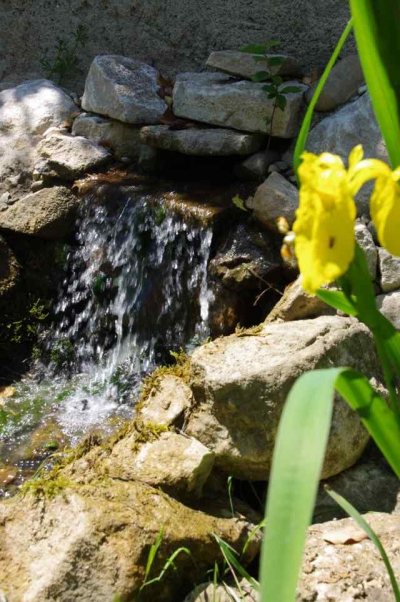 Chambre d'hôte 'Domaine la source des fées' en Saone et Loire