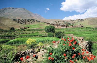 Chambre d'hôte 'Vallée des Ait Bougmez au maroc, maison d'hôtes et gite de charme bougmez' en Marokko