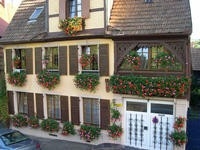 Gîte rural 'Gite du vignoble' à Bas Rhin