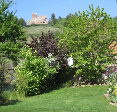 Gîte rural 'LES GITES DU RELAIS DES VIGNES ' en Alsace