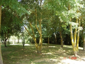 Chambre d'hôte 'L'oustaou' à Sajas