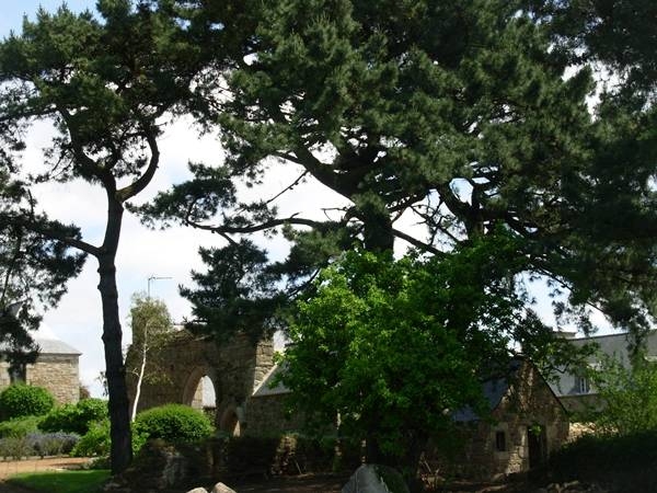 Maison / Villa 'Maison de caractère, 6/7 personnes, jardin et cheminée, à Port-Blanc' à Penvénan