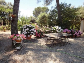 Chambre d'hôte 'La maison des chenes' à Pignan