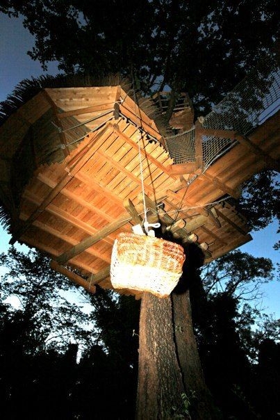 Chambre d'hôte 'Les CAB'ÂNES DU VARON - Cabanes dans les arbres ' à Flayosc