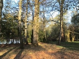 Chambre d'hôte 'Gloria martins' en Loir et Cher