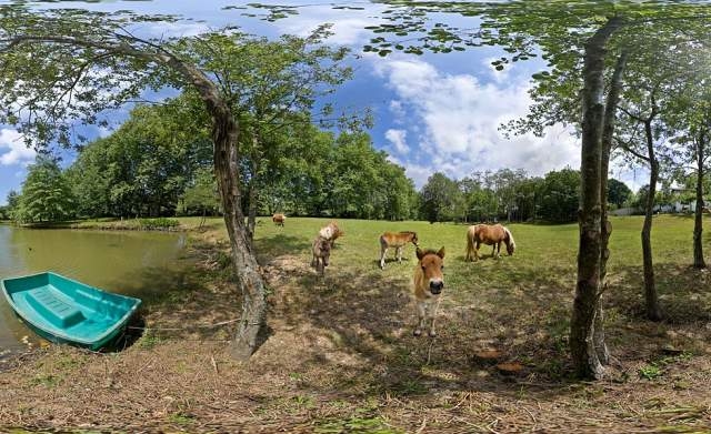 Chambre d'hôte 'Maison d'hote antzika' à Arbonne