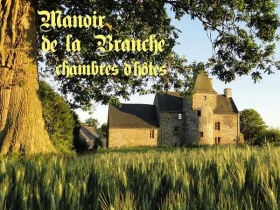 Château 'Manoir de la Branche' à St brice en cogles