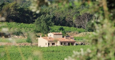 Gîte de séjour 'Le mas des candeliers de château roubine' dans le Var
