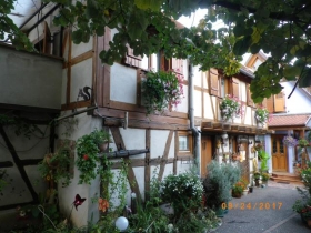 Gîte rural 'Gitelsass67' à Kintzheim
