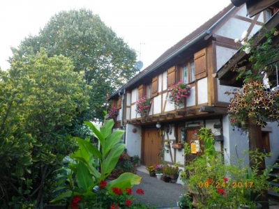 Gîte rural 'Gitelsass67' en Alsace