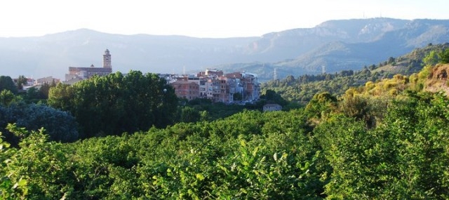 Gîte rural 'La Torre del Valent' à L'aleixar