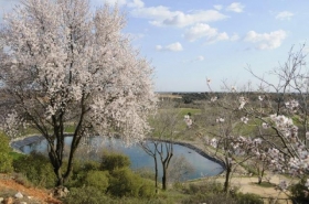 Maison / Villa à Villalbilla