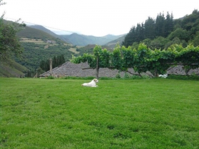 Studio / Appartement en Asturias