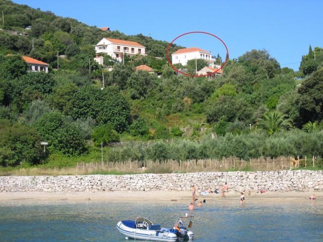 Studio / Appartement 'Plongee appartements' à Dubrovnik-molunat