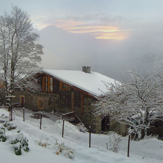 Gîte rural 'Chalet Gîte l 'Ours Blanc' à Bozel