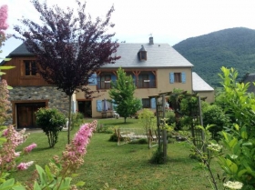 Les hélianthèmes
