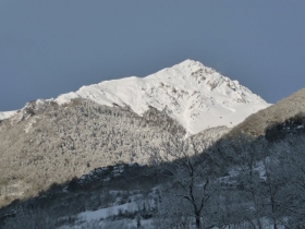 Chambre d'hôte 'Les hélianthèmes' à Guchen