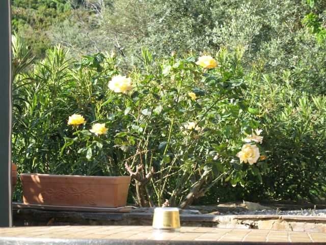 Maison / Villa 'A tomino cap corse' à Tomino