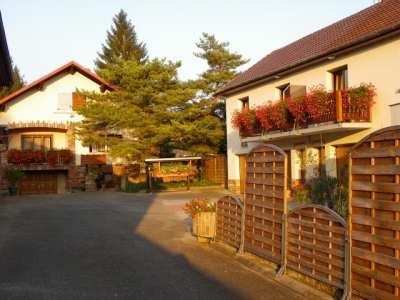 Gîte rural 'Gîte le foulon' en Alsace