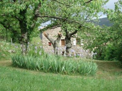Maison / Villa 'Mon oustaou' à La souche