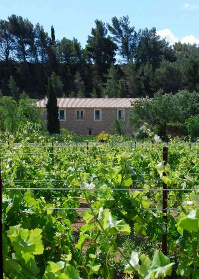 Chambre d'hôte ' Domaine de Creva-Tinas' à Lézignan-Corbières