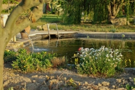 Chambre d'hôte 'Le mas du câprier' à Charleval