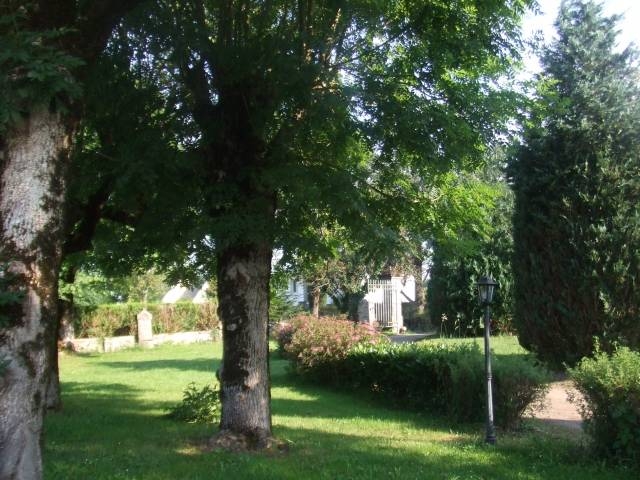 GÏTE ou CHAMBRES 'Domaine de la vigne 15240 SAIGNES' à Saignes