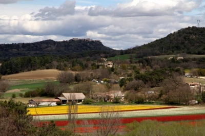 Gîte rural et Camping 'Ferme Equestre Les Coccinelles' dans les Alpes de Haute Provence