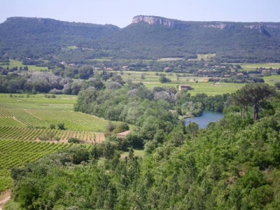 Chambre d'hôte 'Domaine la noria' à Bollène