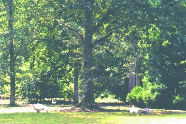 Chambre d'hôte ' La Vélisière' à Bouzy la foret