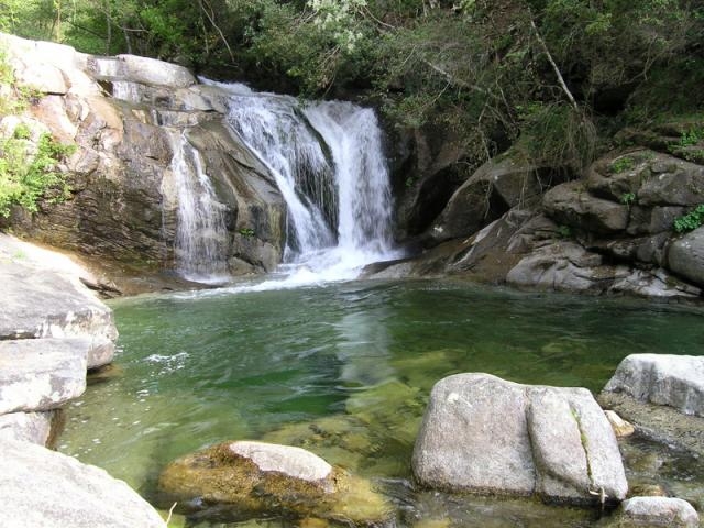 Gîte rural 'Chalets et gite du haut taravo' à Zicavo