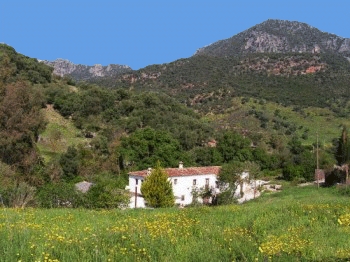 Gite rural/villa, piscine privée, Vue sur la rivière 'Gite rural moulin de la croix' à Ubrique