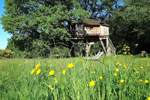 Cabanes dans les arbres et Spa 'La cabane du perche' à Saint mard de reno