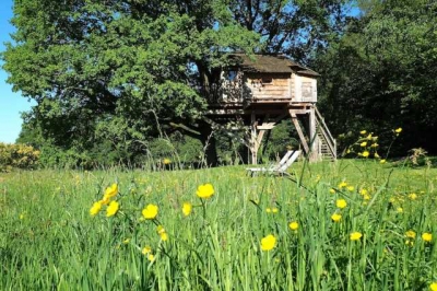 Cabanes dans les arbres et Spa 'La cabane du perche' dans l' Orne