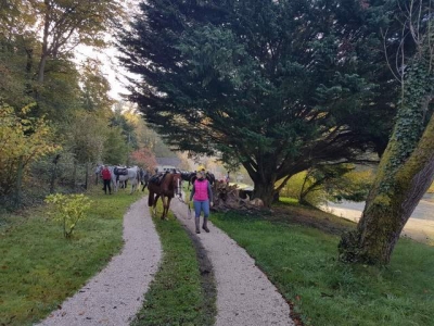 Gite 'Nid dans la foret' en Picardie