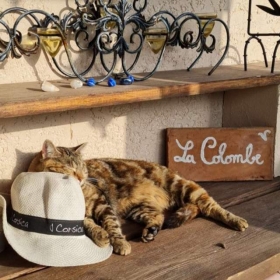 Chambres d'hôtes 'La colombe' à Tourrettes