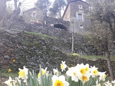 Location de gîtes et chambre d'hôte 'Mas des sources cevenol' dans le Languedoc Roussillon