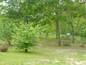 Gîte 'Au jacquet' à Hinx