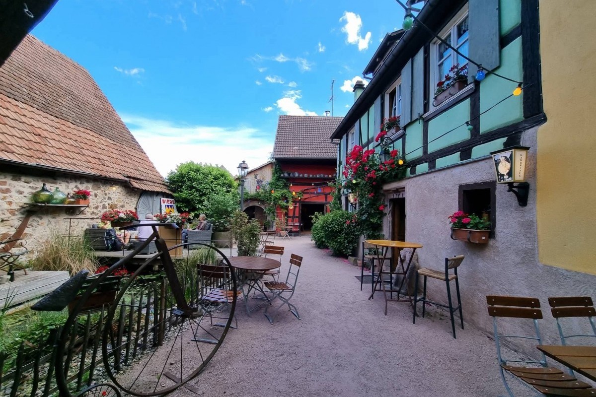 Maison d'hôtes 'Maison gambrinus' à Beblenheim