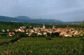 Gîte rural 'Résidence l'érable' à Beblenheim
