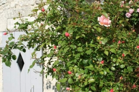 Gîte rural 'La Fermette' à Surgères