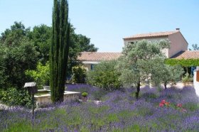 Chambre et Suites de charme 'Le clos des lavandes' à Lacoste
