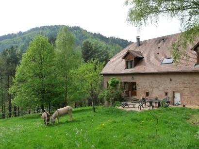 Gîte rural 'Le corps de ferme' à Fouchy