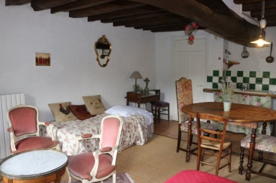 Gîte rural 'Le Moulin du Bas-Pesé' à Vineuil