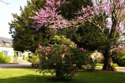 Chambre d'hôte 'Le béguinage' dans le Centre - Val de Loire