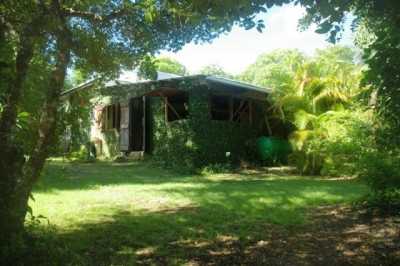 Gîte rural 'Esprit-caraibe' dans les Dom Tom - Outre Mer