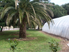 Chambre d'hôte 'Mas du tech' à Ortaffa